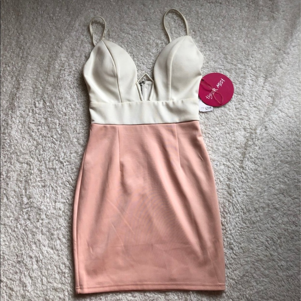 NWT Tiger mist deep v neck mini dress